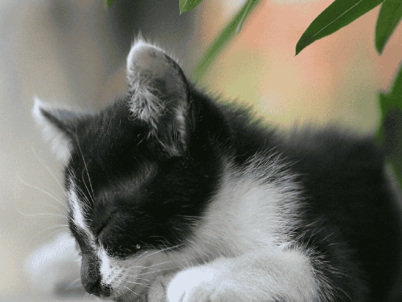 试管实验第八，用什么预热试管